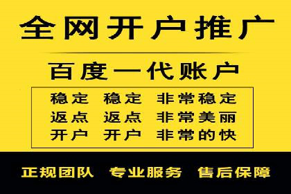 SEM投放策略优化案例分析
